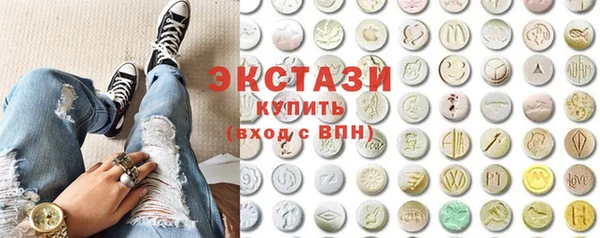 индика Галич