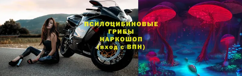 Галлюциногенные грибы Magic Shrooms  Кодинск 